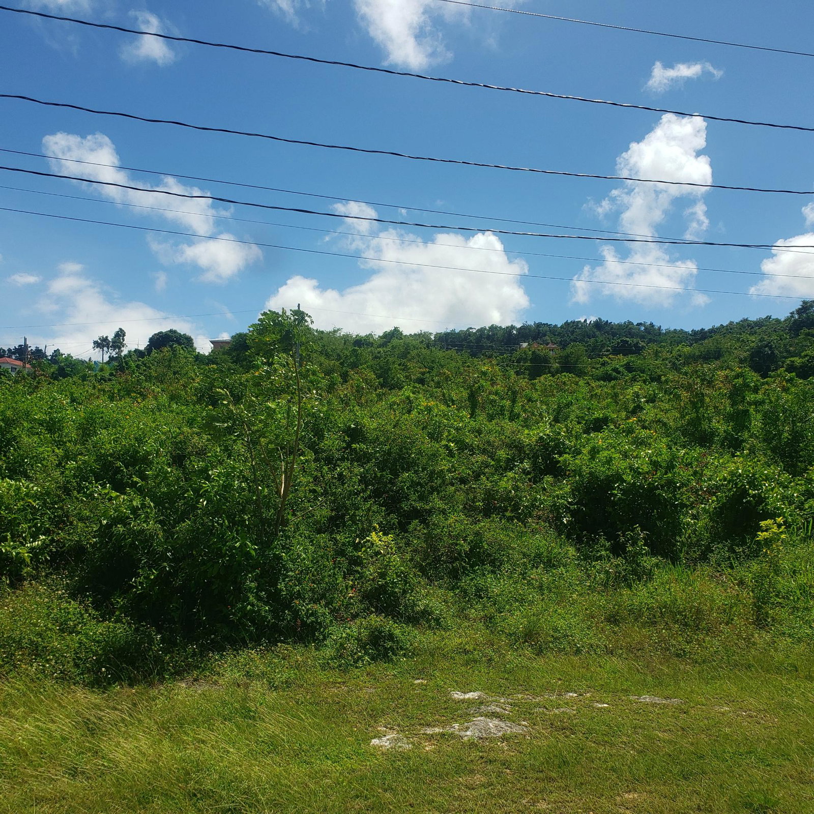 Sixth image of 505 Boscobel Heights in Boscobel Heights, St. Mary, Jamaica - property is For Sale