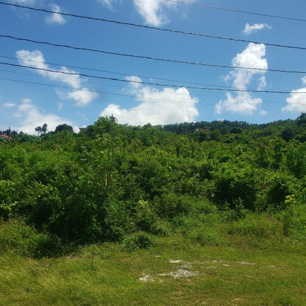 Sixth image of 505 Boscobel Heights in Boscobel Heights, St. Mary, Jamaica - property is For Sale