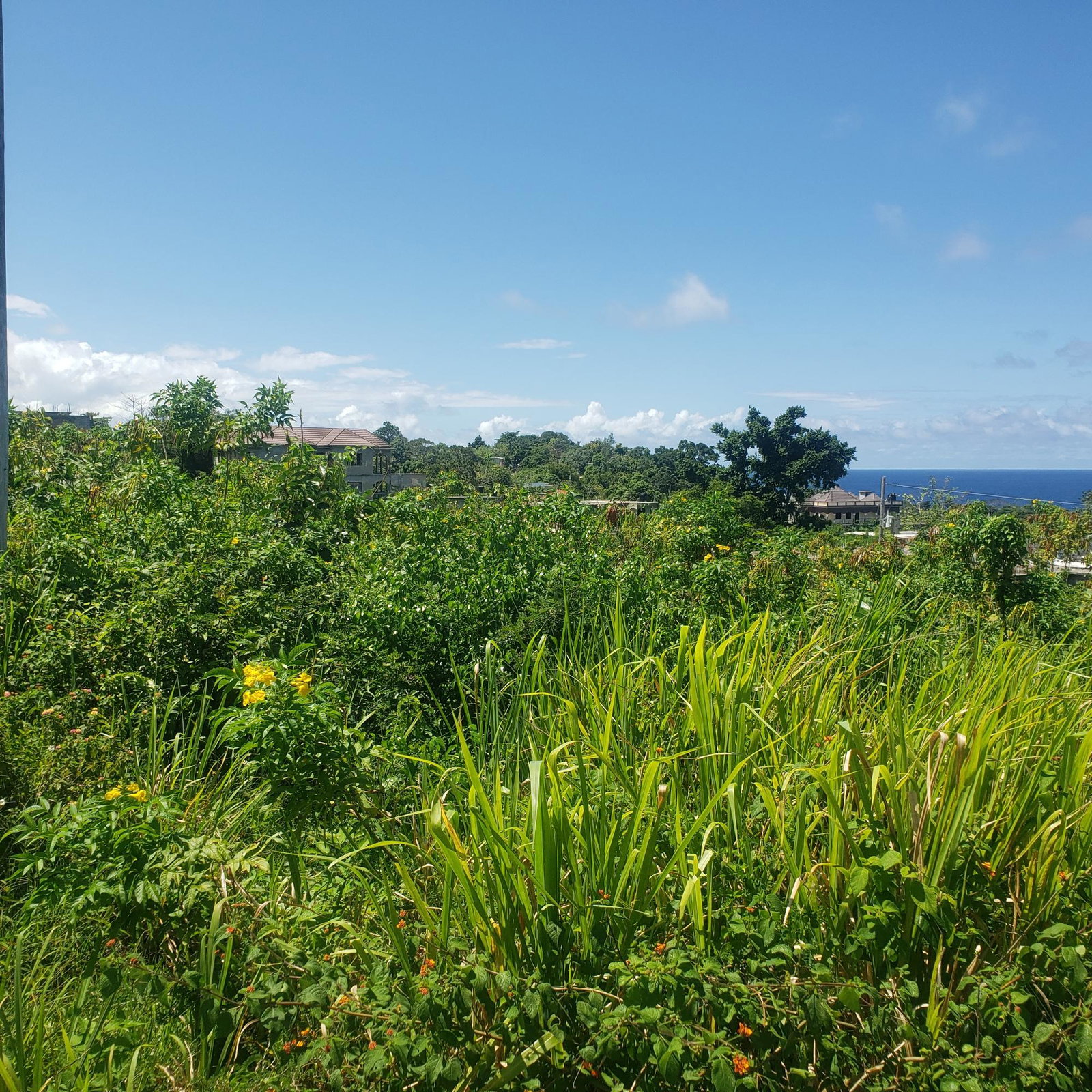 Seventh image of 505 Boscobel Heights in Boscobel Heights, St. Mary, Jamaica - property is For Sale