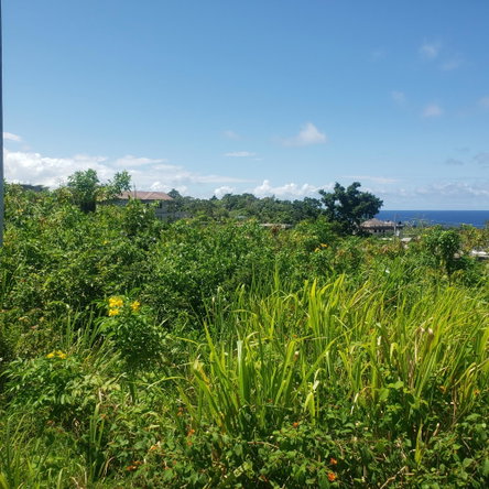 Seventh image of 505 Boscobel Heights in Boscobel Heights, St. Mary, Jamaica - property is For Sale