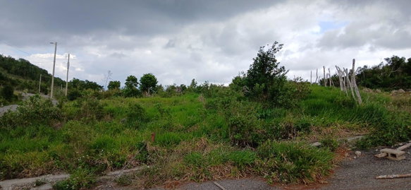 First image of Lot 5, Upper Lincoln, Manchester in Lincoln, Manchester, Jamaica - property is For Sale