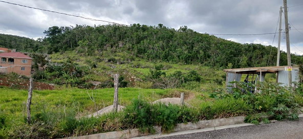 Third image of Lot 5, Upper Lincoln, Manchester in Lincoln, Manchester, Jamaica - property is For Sale