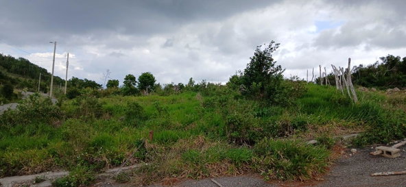 Fourth image of Lot 5, Upper Lincoln, Manchester in Lincoln, Manchester, Jamaica - property is For Sale