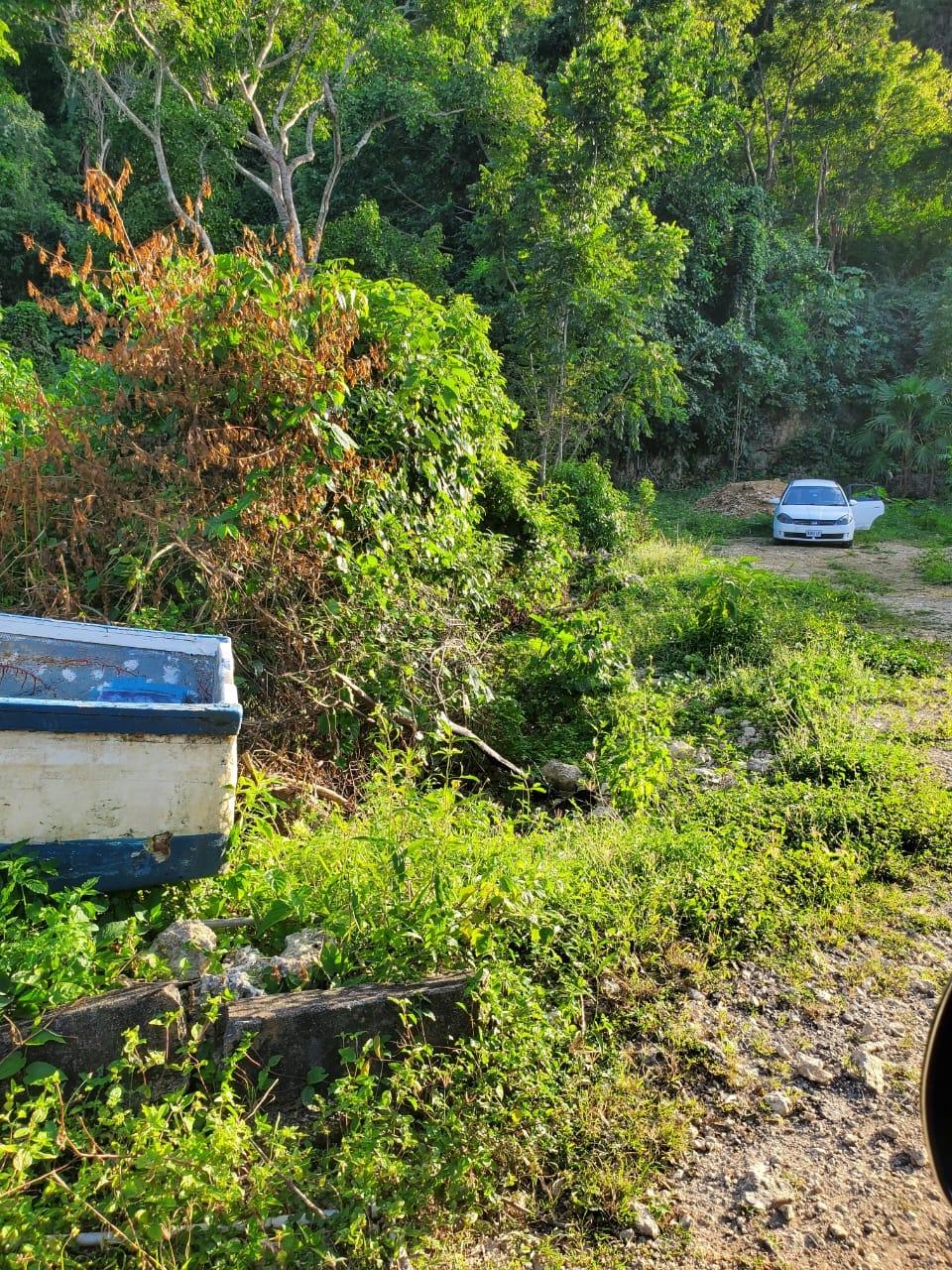 First image of 11- Wilderness, Oracabessa, s in Oracabessa, St. Mary, Jamaica - property is For Sale