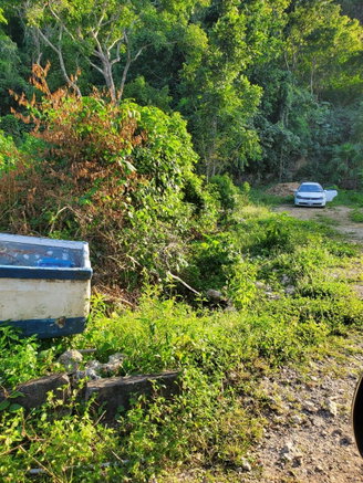 First image of 11- Wilderness, Oracabessa, s in Oracabessa, St. Mary, Jamaica - property is For Sale