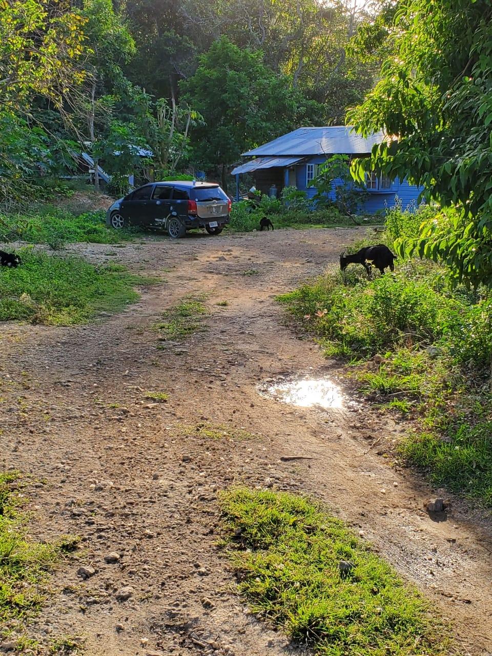 Fourth image of 11- Wilderness, Oracabessa, s in Oracabessa, St. Mary, Jamaica - property is For Sale