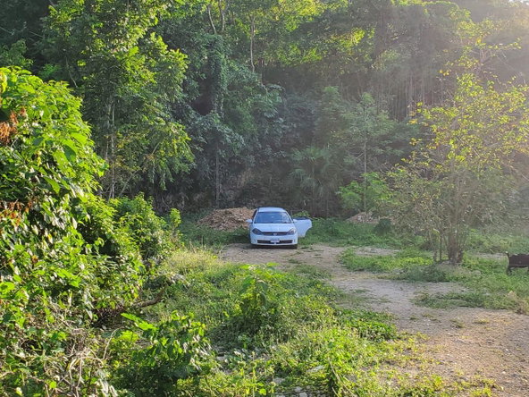 Seventh image of 11- Wilderness, Oracabessa, s in Oracabessa, St. Mary, Jamaica - property is For Sale