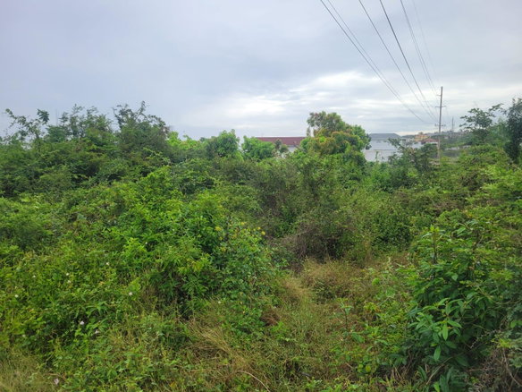 First image of 410 Greenwood Avenue in BARRETT TOWN, St. James, Jamaica - property is For Sale