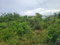 First image of 410 Greenwood Avenue in BARRETT TOWN, St. James, Jamaica - property is For Sale