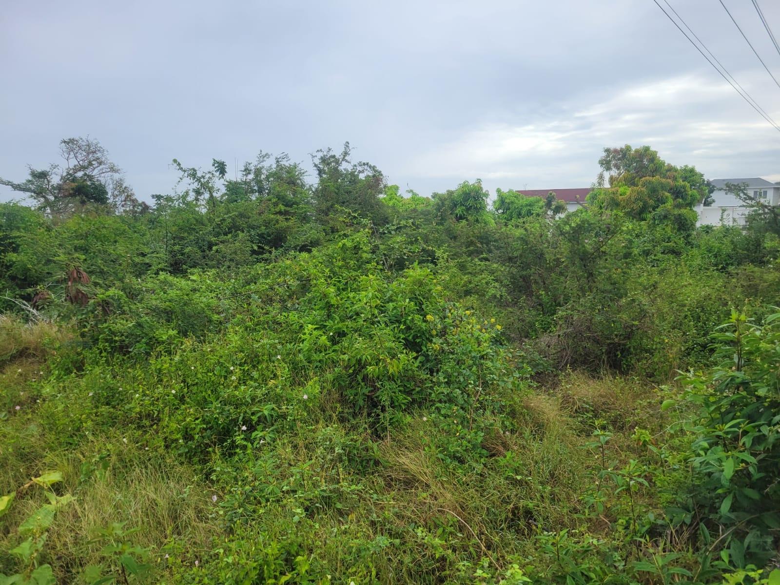 Second image of 410 Greenwood Avenue in BARRETT TOWN, St. James, Jamaica - property is For Sale
