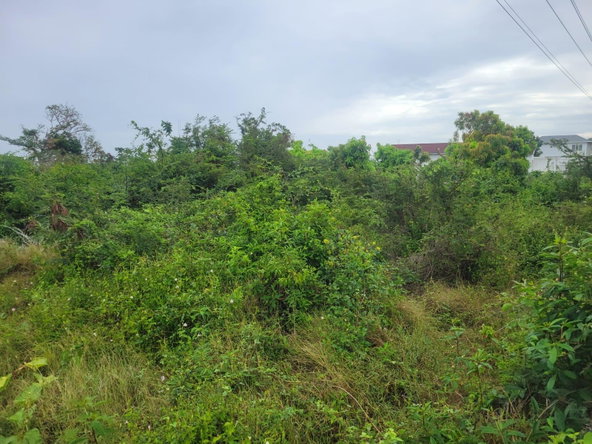 Second image of 410 Greenwood Avenue in BARRETT TOWN, St. James, Jamaica - property is For Sale