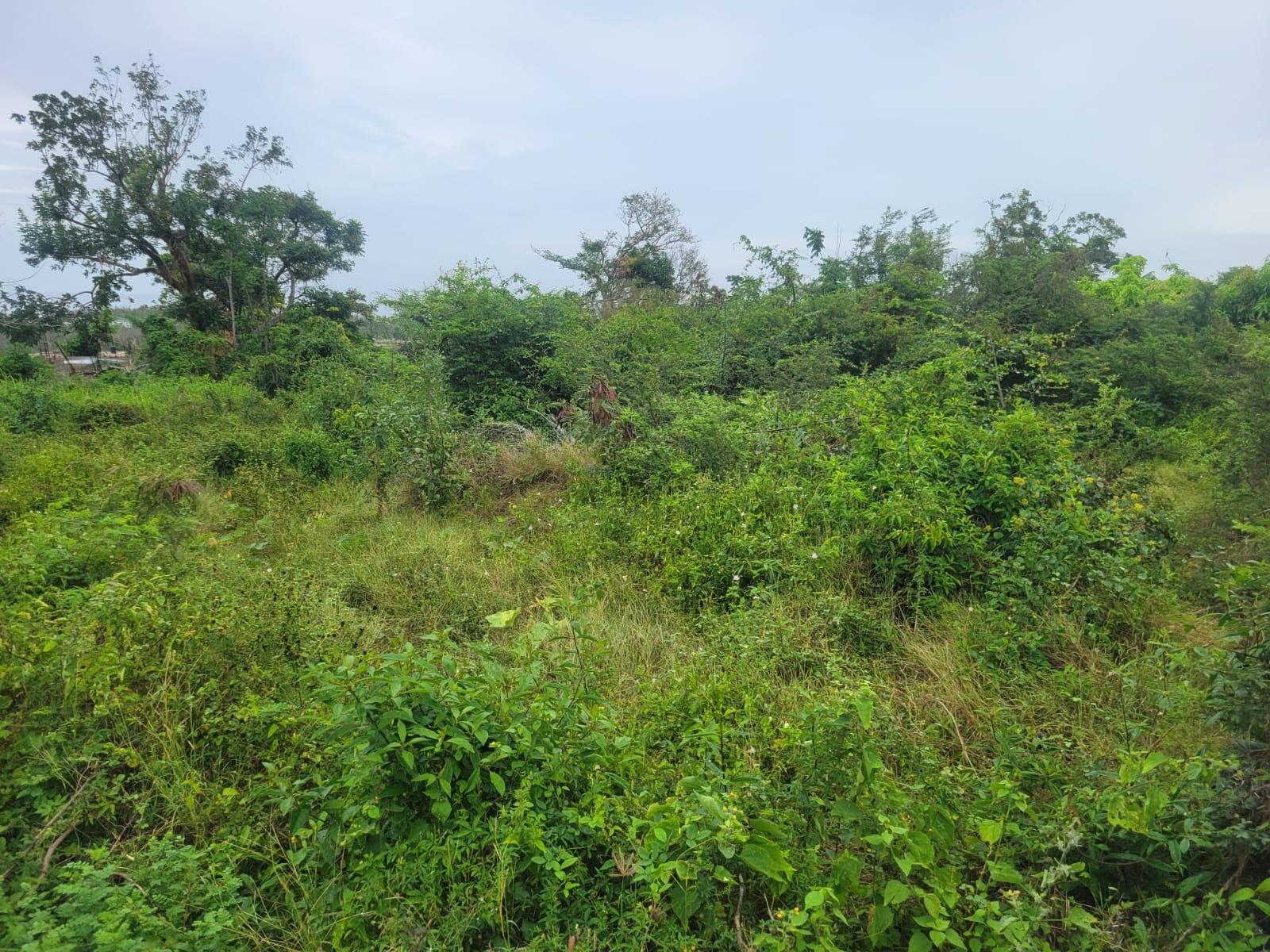 Third image of 410 Greenwood Avenue in BARRETT TOWN, St. James, Jamaica - property is For Sale