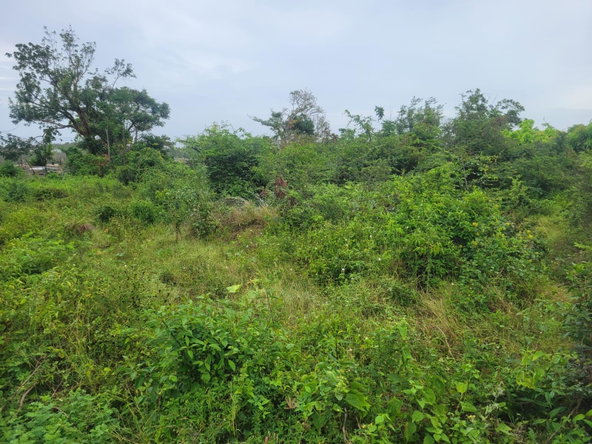 Third image of 410 Greenwood Avenue in BARRETT TOWN, St. James, Jamaica - property is For Sale