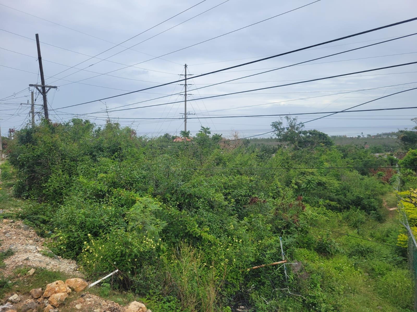 Fourth image of 410 Greenwood Avenue in BARRETT TOWN, St. James, Jamaica - property is For Sale