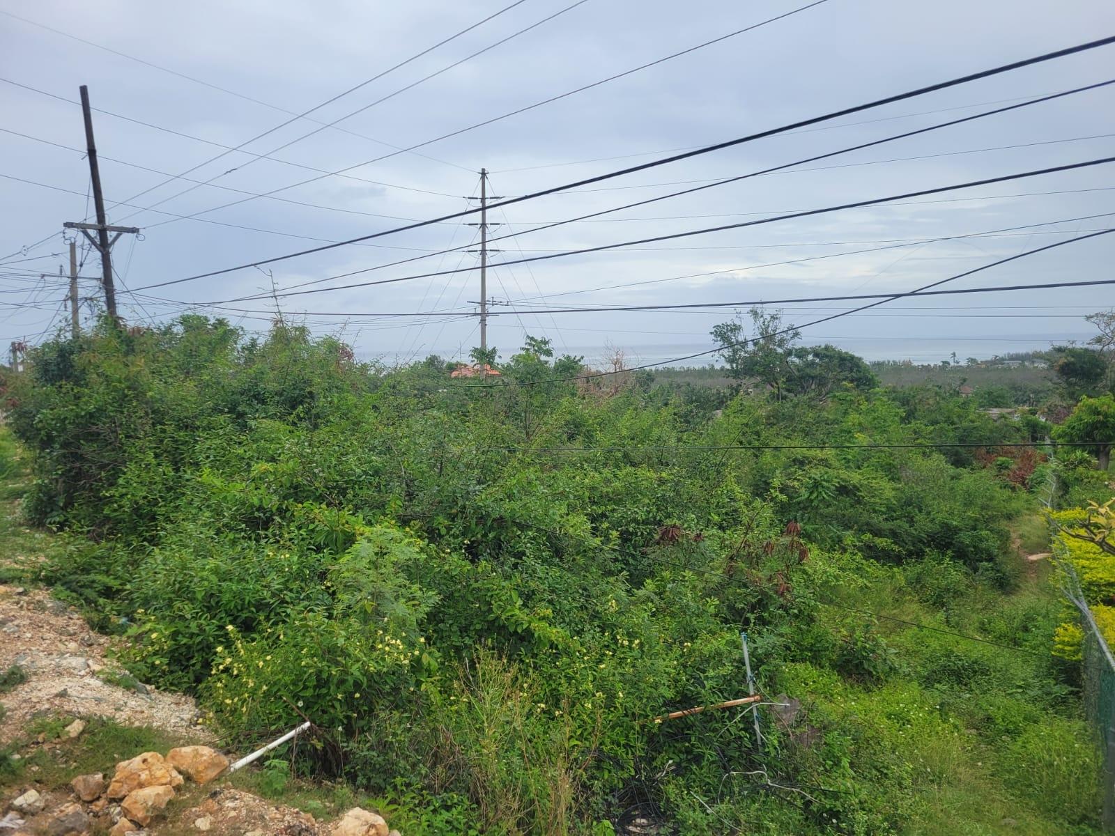 Fifth image of 410 Greenwood Avenue in BARRETT TOWN, St. James, Jamaica - property is For Sale
