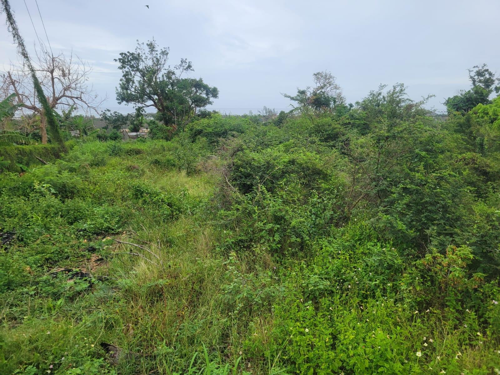 Sixth image of 410 Greenwood Avenue in BARRETT TOWN, St. James, Jamaica - property is For Sale
