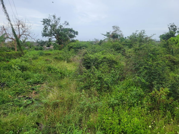 Sixth image of 410 Greenwood Avenue in BARRETT TOWN, St. James, Jamaica - property is For Sale