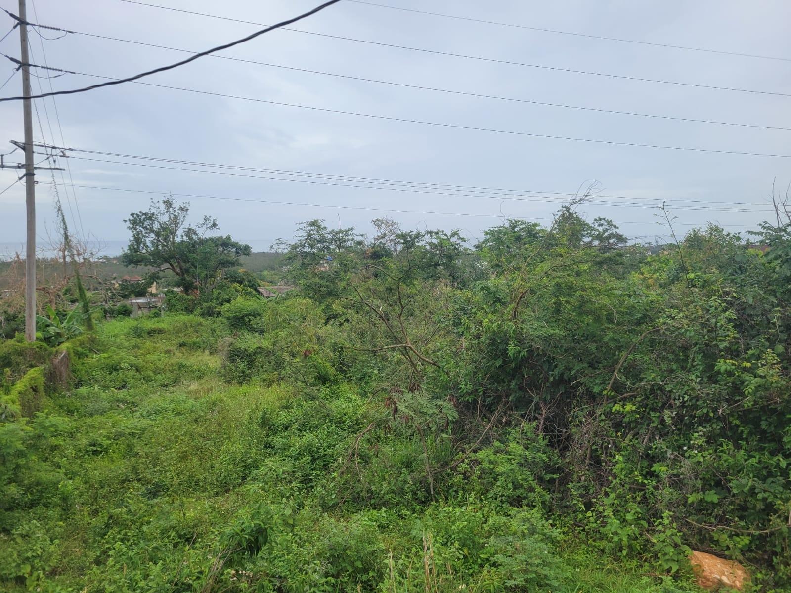 Seventh image of 410 Greenwood Avenue in BARRETT TOWN, St. James, Jamaica - property is For Sale