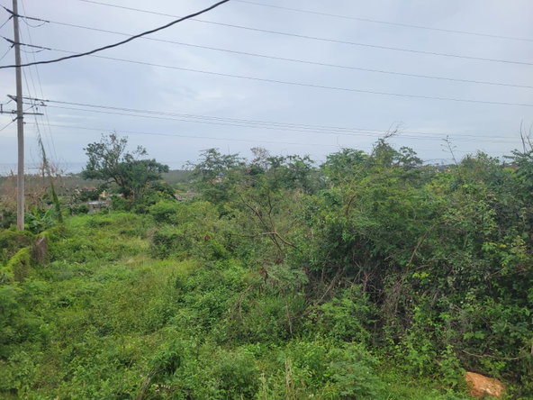 Seventh image of 410 Greenwood Avenue in BARRETT TOWN, St. James, Jamaica - property is For Sale