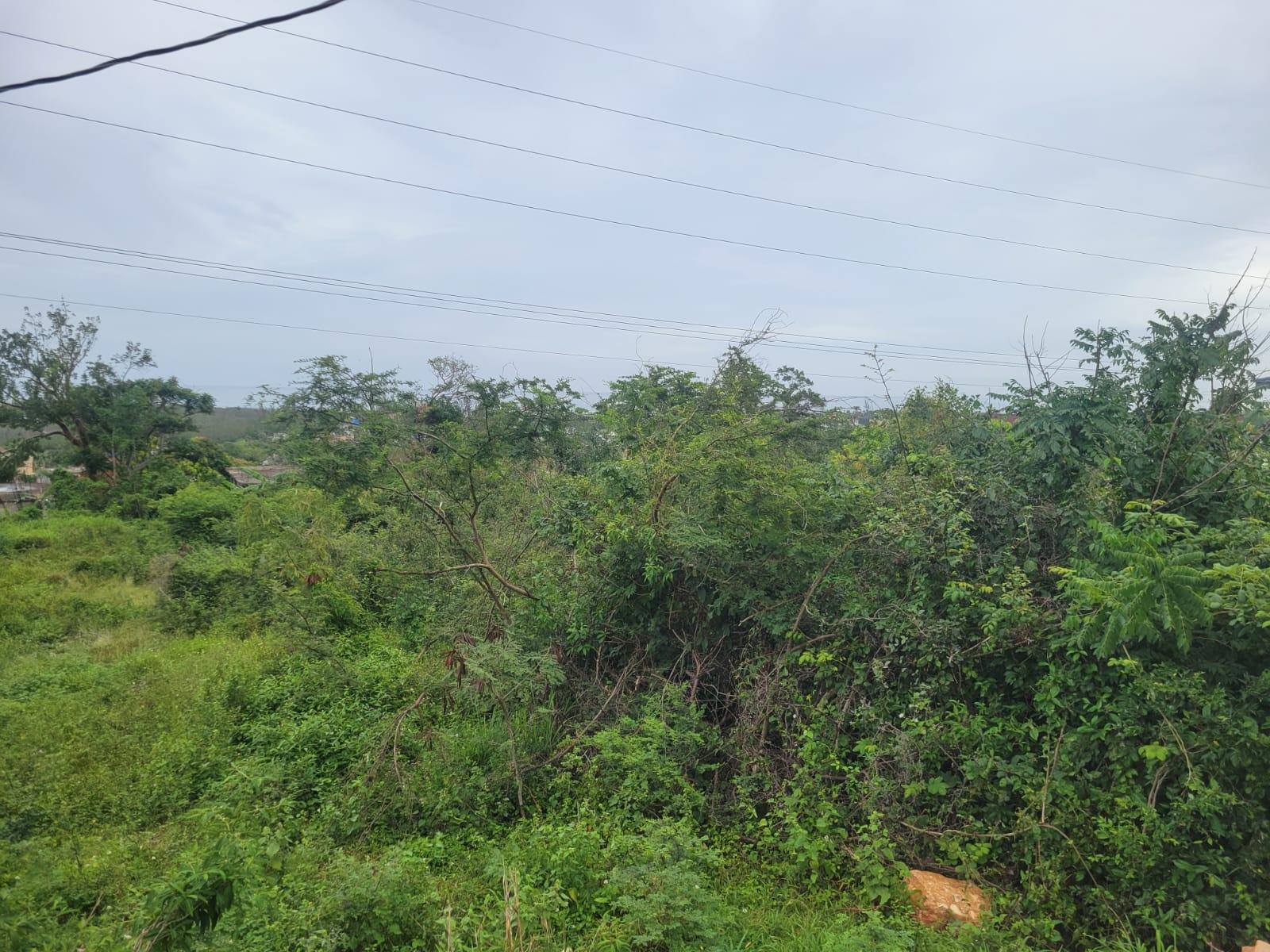 Eighth image of 410 Greenwood Avenue in BARRETT TOWN, St. James, Jamaica - property is For Sale