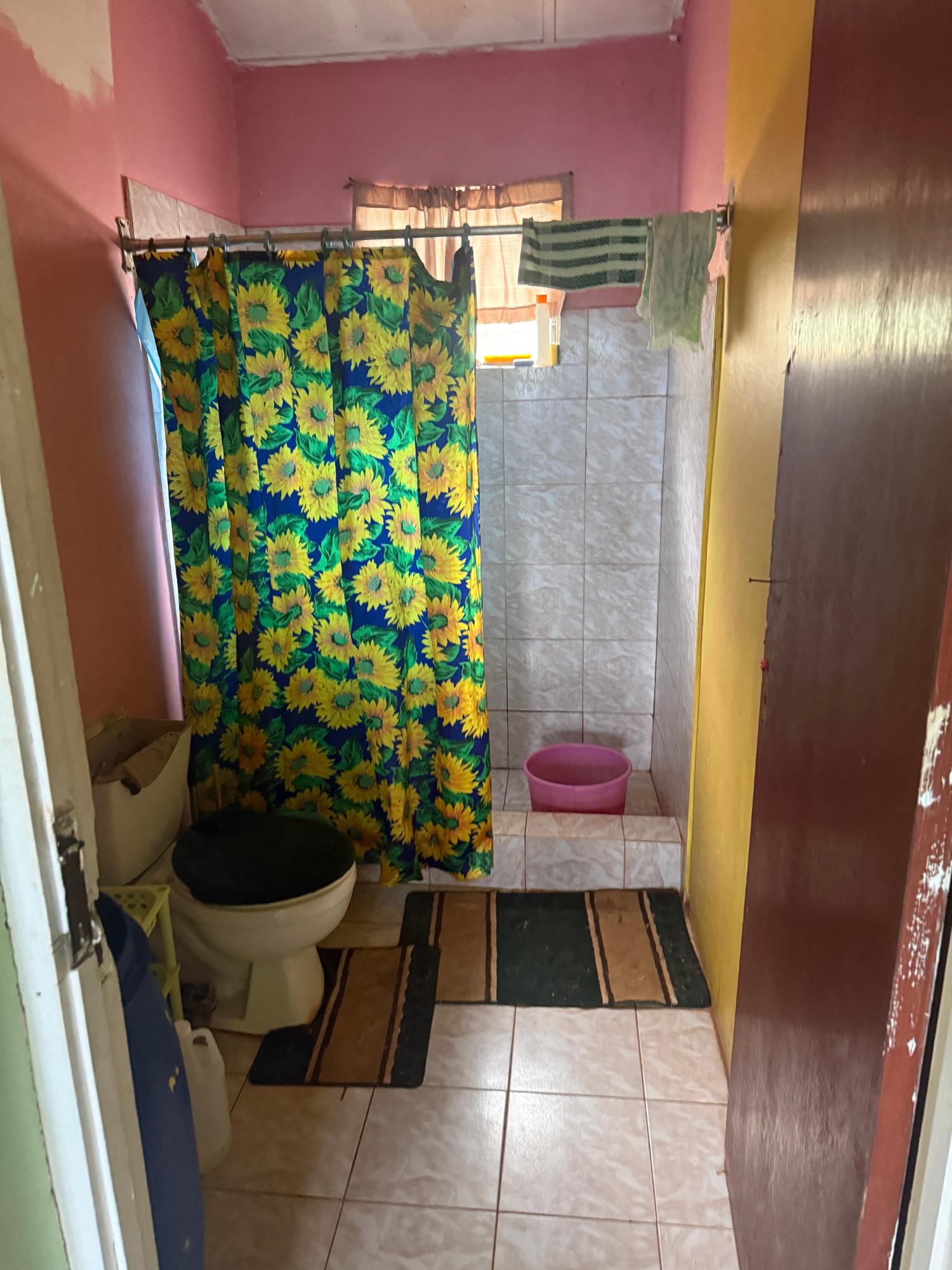 Twenty-First image of Part of Retirement in Watt Town, St. Ann, Jamaica - property is For Sale