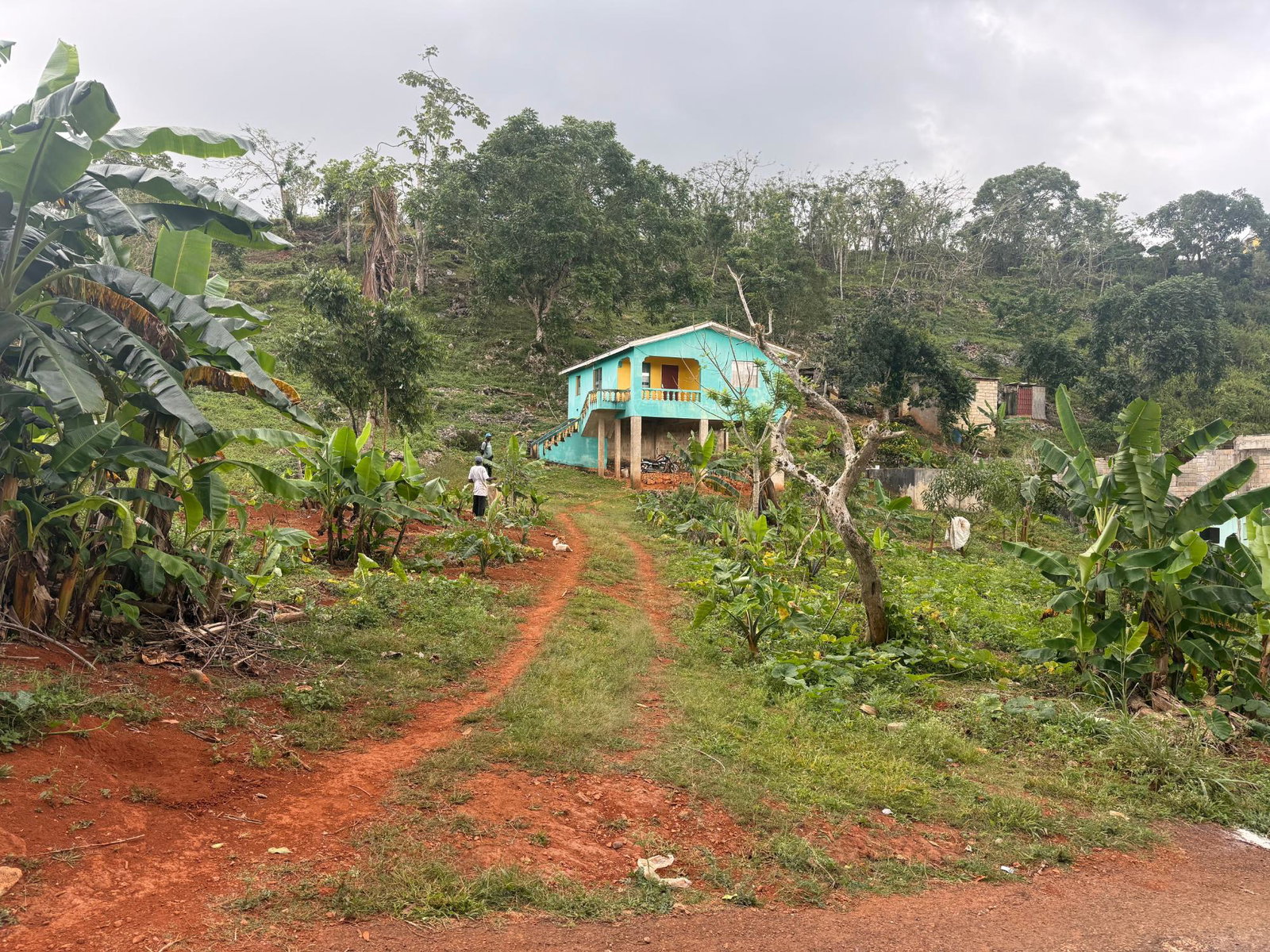 Sixth image of Part of Retirement in Watt Town, St. Ann, Jamaica - property is For Sale
