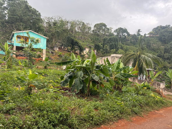 Eighth image of Part of Retirement in Watt Town, St. Ann, Jamaica - property is For Sale