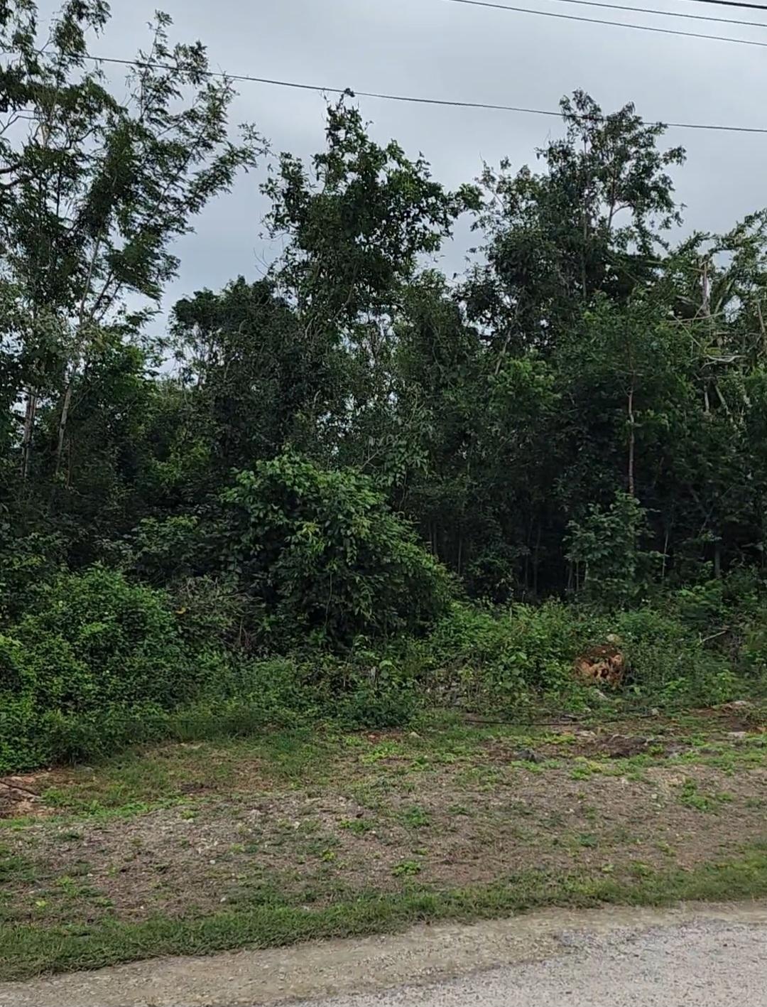 Eleventh image of 295 Duncan's Bay, Trelawny in DUNCAN BAY, Trelawny, Jamaica - property is For Sale