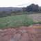 First image of Gayletown, Top Hill in Top Hill, St. Elizabeth, Jamaica - property is For Sale