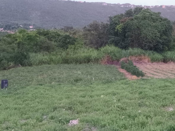 Tenth image of Gayletown, Top Hill in Top Hill, St. Elizabeth, Jamaica - property is For Sale