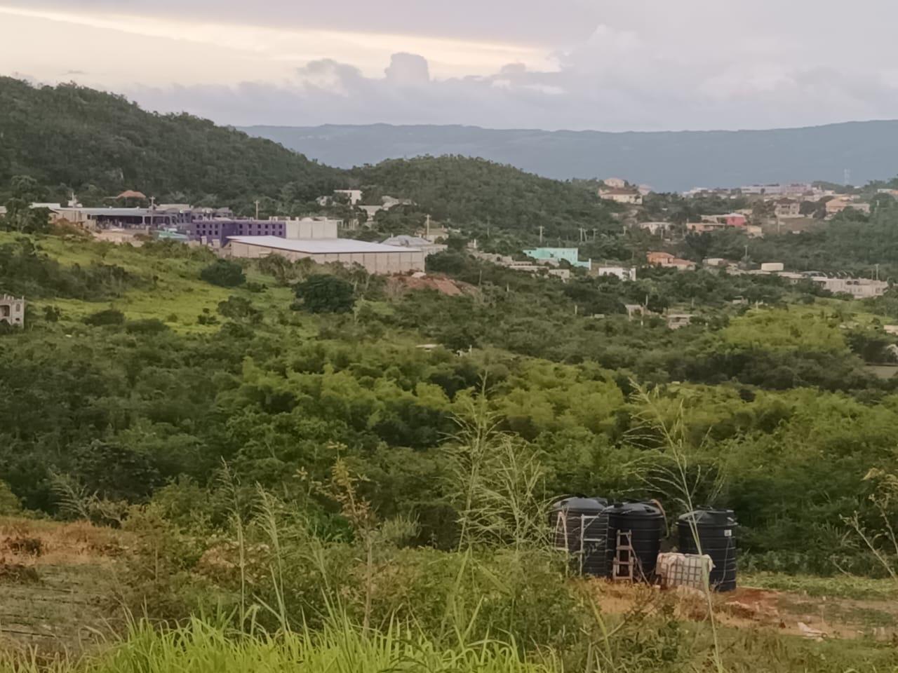 Eleventh image of Gayletown, Top Hill in Top Hill, St. Elizabeth, Jamaica - property is For Sale
