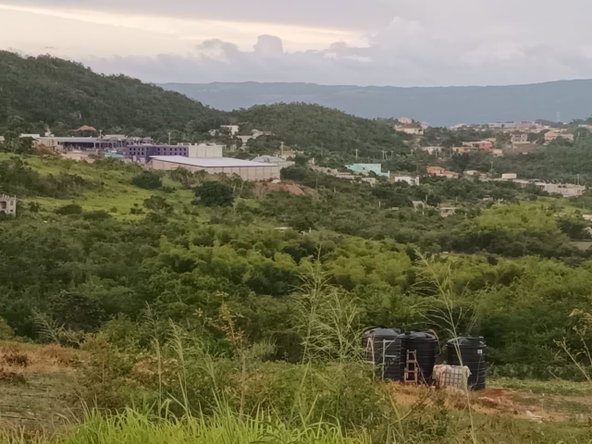 Eleventh image of Gayletown, Top Hill in Top Hill, St. Elizabeth, Jamaica - property is For Sale