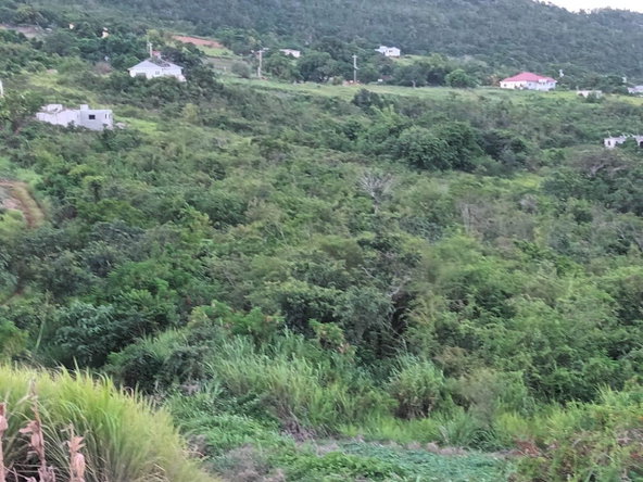 Twelfth image of Gayletown, Top Hill in Top Hill, St. Elizabeth, Jamaica - property is For Sale