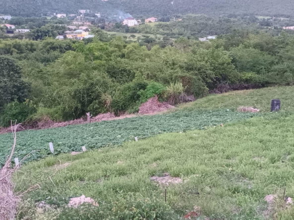Thirteenth image of Gayletown, Top Hill in Top Hill, St. Elizabeth, Jamaica - property is For Sale
