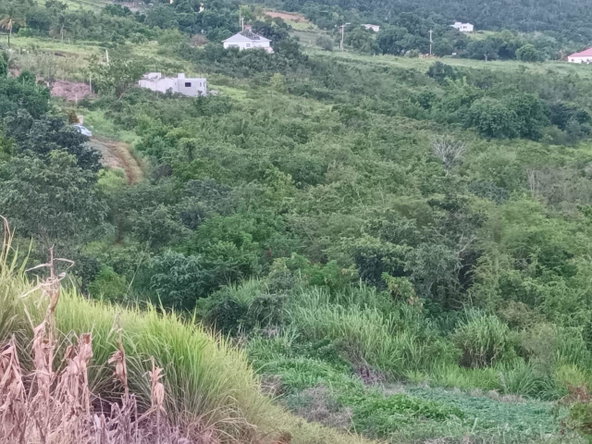 Fourteenth image of Gayletown, Top Hill in Top Hill, St. Elizabeth, Jamaica - property is For Sale