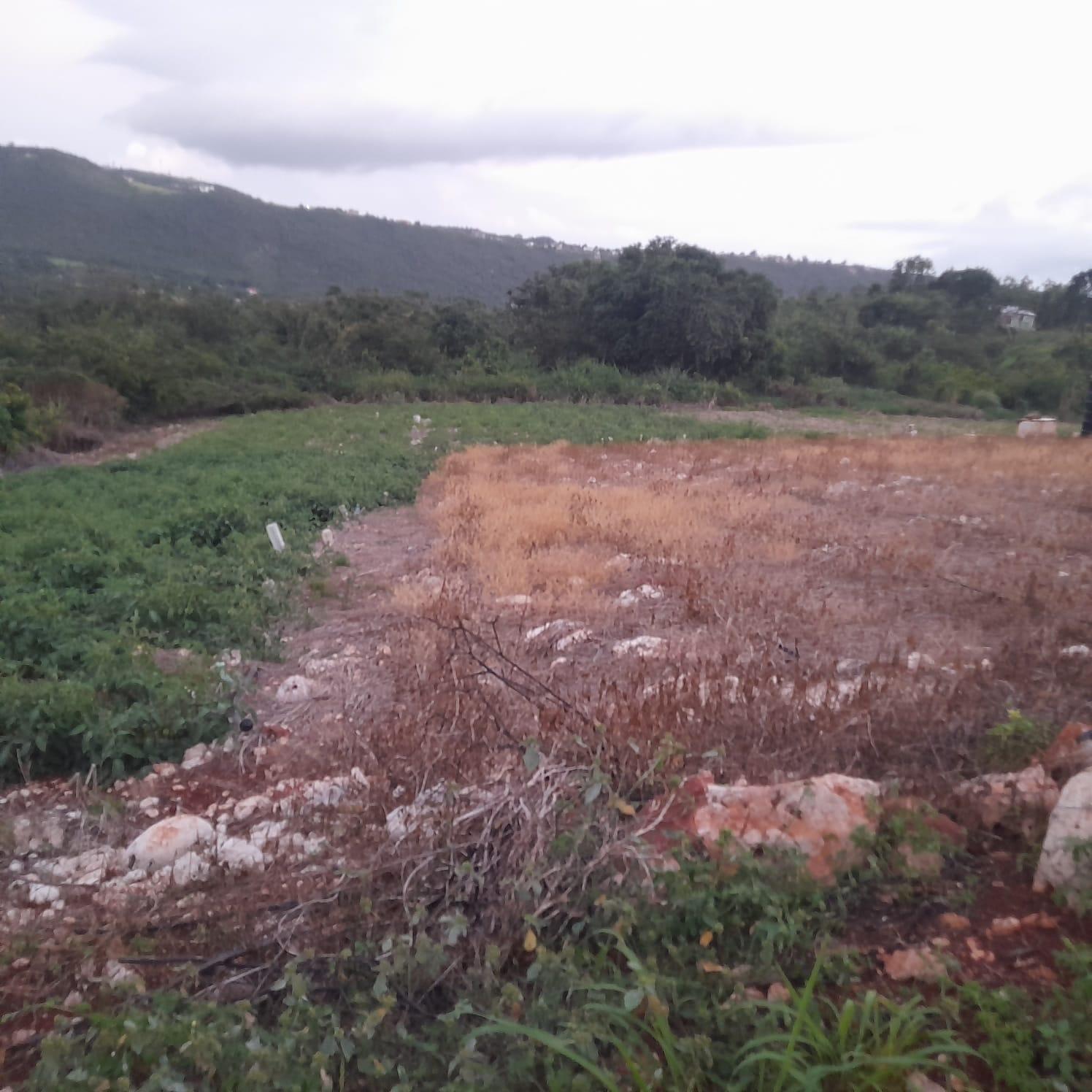 Third image of Gayletown, Top Hill in Top Hill, St. Elizabeth, Jamaica - property is For Sale