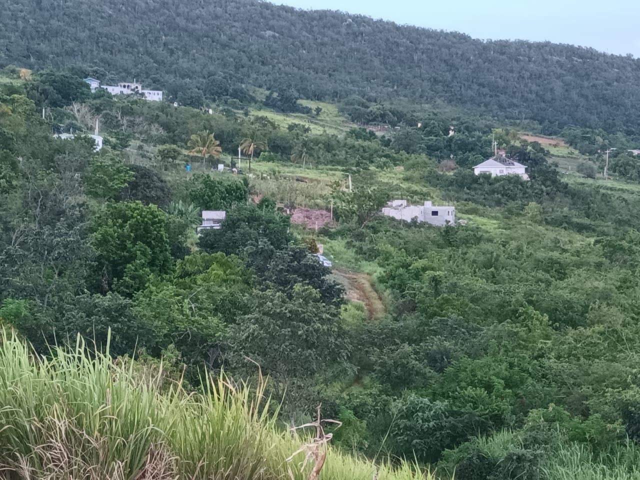 Fourth image of Gayletown, Top Hill in Top Hill, St. Elizabeth, Jamaica - property is For Sale