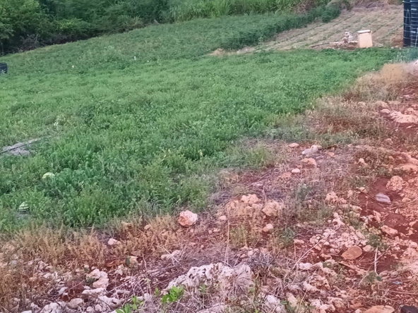 Fifth image of Gayletown, Top Hill in Top Hill, St. Elizabeth, Jamaica - property is For Sale