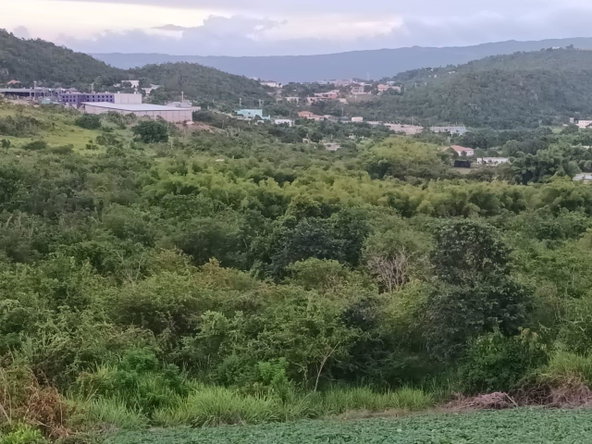 Sixth image of Gayletown, Top Hill in Top Hill, St. Elizabeth, Jamaica - property is For Sale