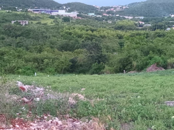 Seventh image of Gayletown, Top Hill in Top Hill, St. Elizabeth, Jamaica - property is For Sale