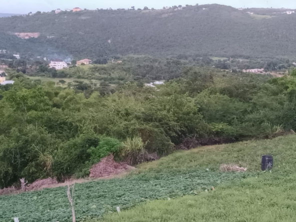 Eighth image of Gayletown, Top Hill in Top Hill, St. Elizabeth, Jamaica - property is For Sale