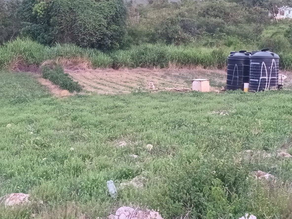Ninth image of Gayletown, Top Hill in Top Hill, St. Elizabeth, Jamaica - property is For Sale