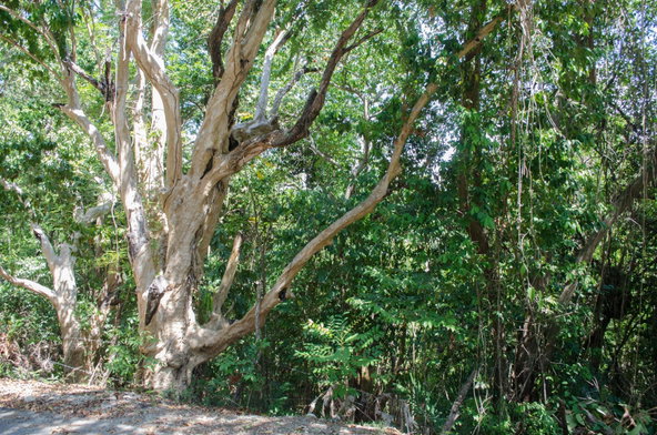 Third image of Lots 1& 2- Sussex in St. Ann's Bay, St. Ann, Jamaica - property is For Sale