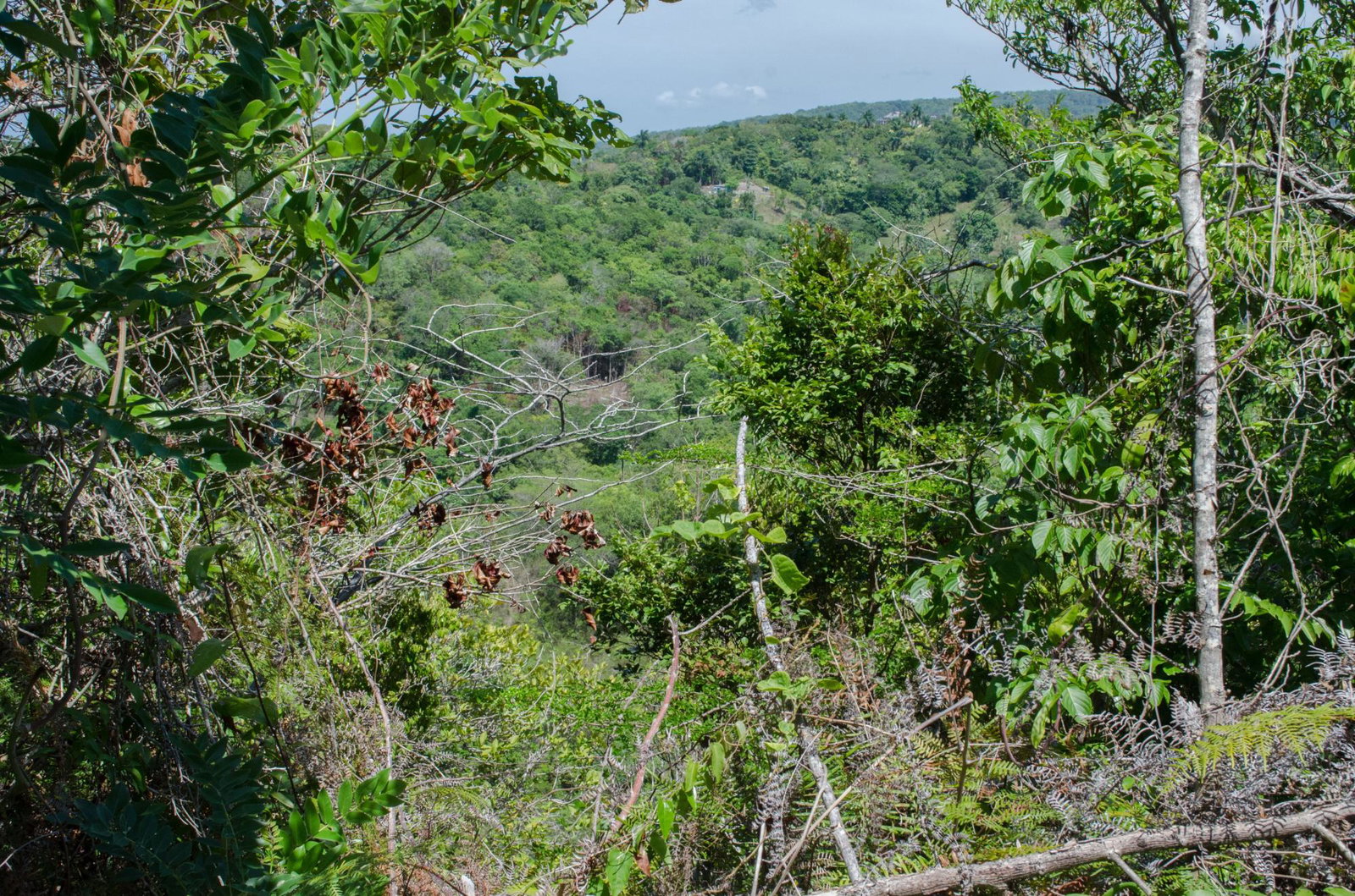 Fourth image of Lots 1& 2- Sussex in St. Ann's Bay, St. Ann, Jamaica - property is For Sale