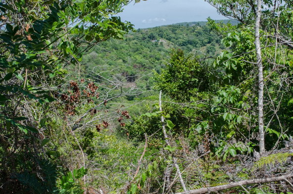 Fourth image of Lots 1& 2- Sussex in St. Ann's Bay, St. Ann, Jamaica - property is For Sale