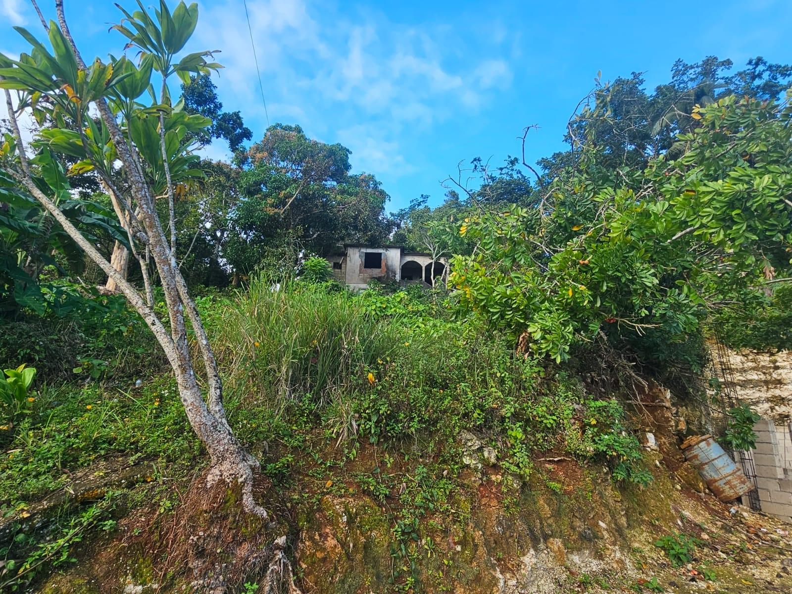 Seventh image of Orange Hill, Browns Town in Browns Town, St. Ann, Jamaica - property is For Sale