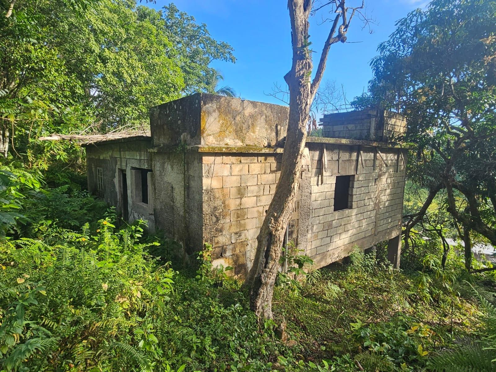 Eighth image of Orange Hill, Browns Town in Browns Town, St. Ann, Jamaica - property is For Sale