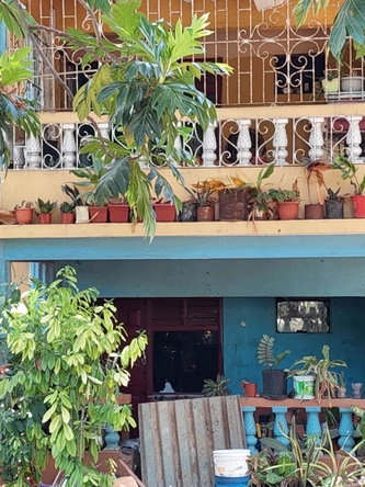 Seventh image of Old Buckfield Road in Ocho Rios, St. Ann, Jamaica - property is For Sale