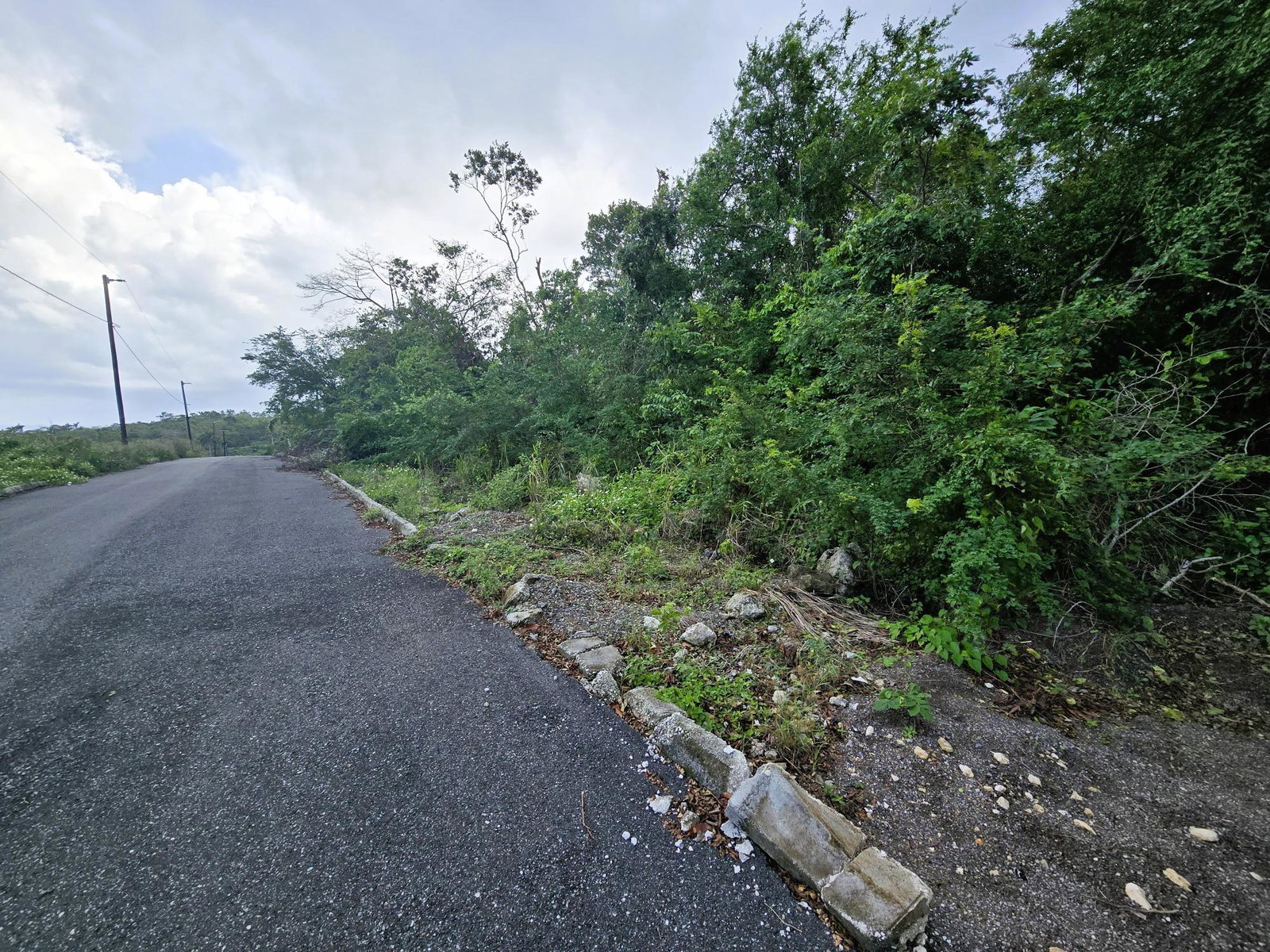 Eleventh image of Lot 27 Ophelia View, Roystonea in Tower Isle, St. Mary, Jamaica - property is For Sale