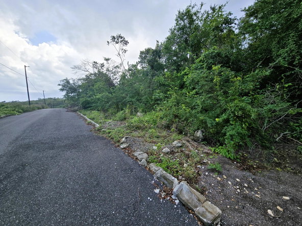 Eleventh image of Lot 27 Ophelia View, Roystonea in Tower Isle, St. Mary, Jamaica - property is For Sale